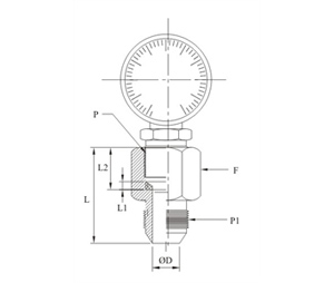 Gauge Coupling