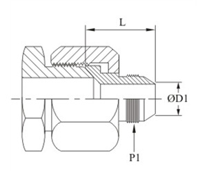 Reduching Adapter