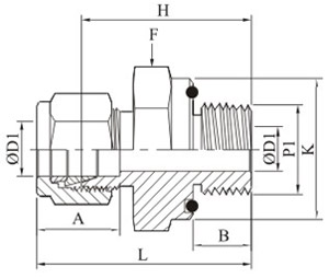 Male Connector O Seal Npt Tapered Thread Drawing