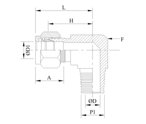 Male Elbow Drawing
