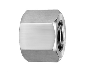 Pipe Cap 10k Npt