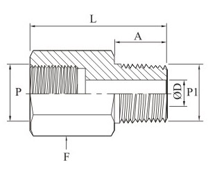 Gauge Adapter Bspp To Npt Drawing
