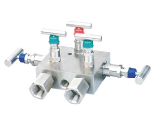 Five Valve Manifolds SE-5VD